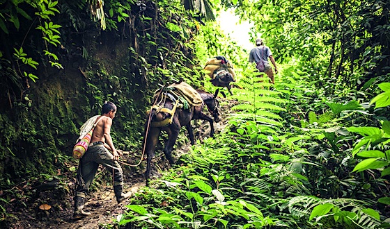goosebumpmoment about trekking to the ‘lost city’ in colombia