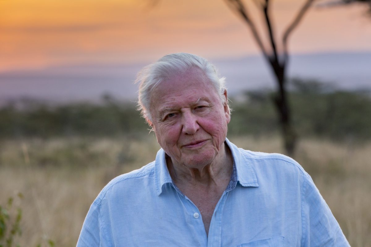 goosebumpmoment about watching david attenborough’s “our planet” speech for the first time